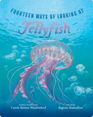 Fourteen Ways of Looking at Jellyfish
