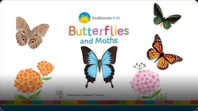Smithsonian: Butterfly book