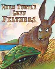 When Turtle Grew Feathers