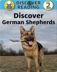 Discover German Shepherds