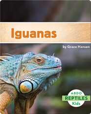 Iguanas