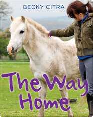 The Way Home