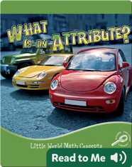 What is an Attribute?