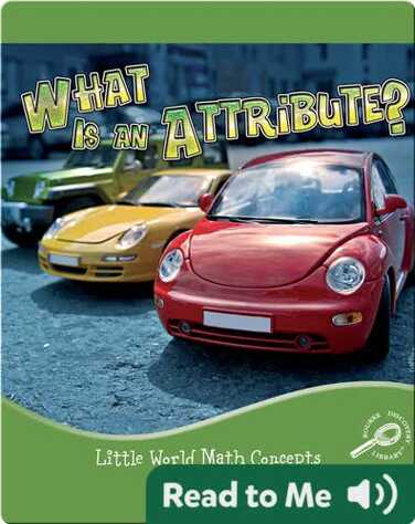 What is an Attribute? book