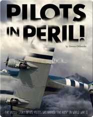 Pilots in Peril!