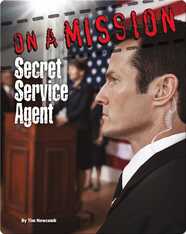 Secret Service Agent
