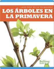 Los árboles en la primavera
