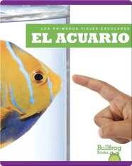 El acuario (Aquarium)
