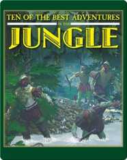 Ten of the Best Adventures in the Jungle