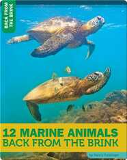 12 Marine Animals Back From The Brink