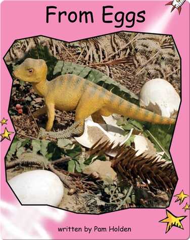 From Eggs book