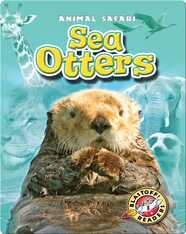 Sea Otters