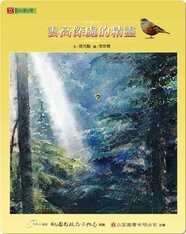 雲高深處的精靈: Fairies in the Cloud-High Mountains