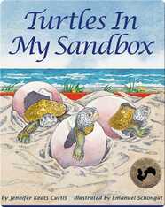 Turtles In my Sandbox