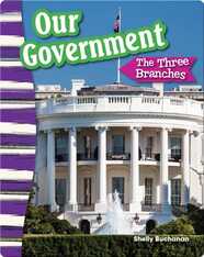 Our Government: The Three Branches