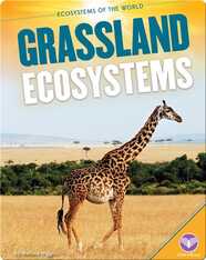 Grassland Ecosystems