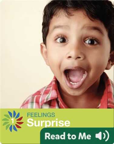 Surprise book
