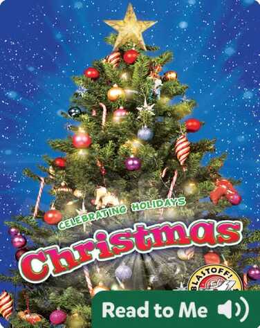 Christmas book