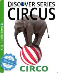 Circus / Circo