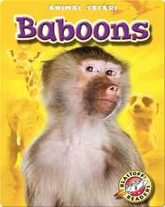 Baboons: Animal Safari