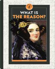 What Is the Reason?