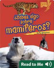 ¿Sabes algo sobre mamíferos? (Do You Know about Mammals?)