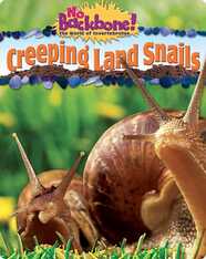 Creeping Land Snails