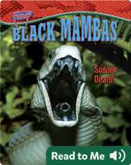 Black Mambas: Sudden Death!