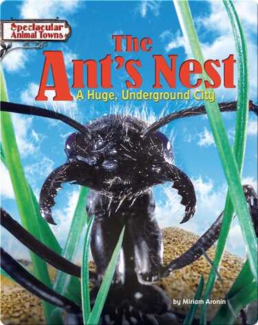 The Ant's Nest: A Huge, Underground City book