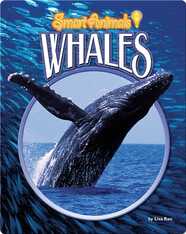 Whales