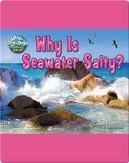 Why is Seawater Salty?