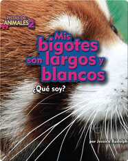 Mis bigotes son largos y blancos (red panda)