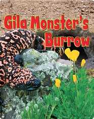 Gila Monster's Burrow