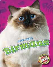 Birmans