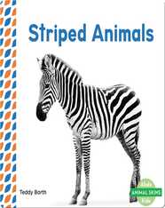 Striped Animals