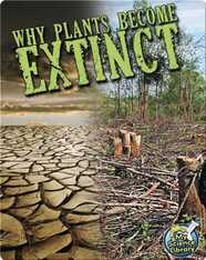Why Plants Become Extinct