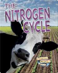 The Nitrogen Cycle