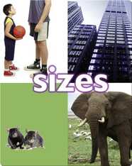 Sizes