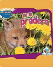 En La Pradera (Over In The Meadow)