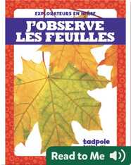J’observe les feuilles