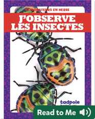 J’observe les insectes