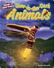 Glow-in-the-Dark Animals