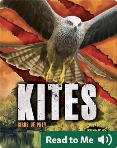 Kites book