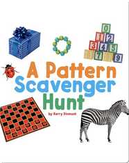 A Pattern Scavenger Hunt