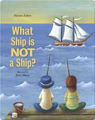 What Ship is Not a Ship
