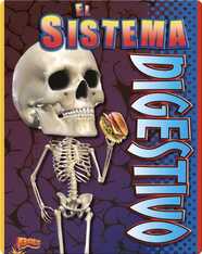 El Sistema Digestivo