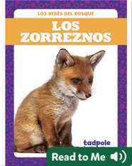 Los zorreznos