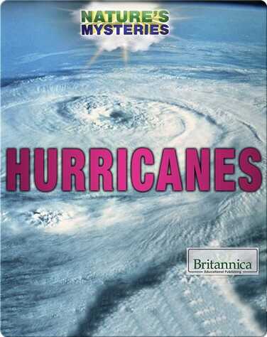 Hurricanes book