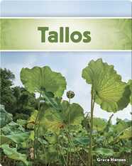Tallos