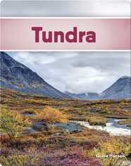 Tundra